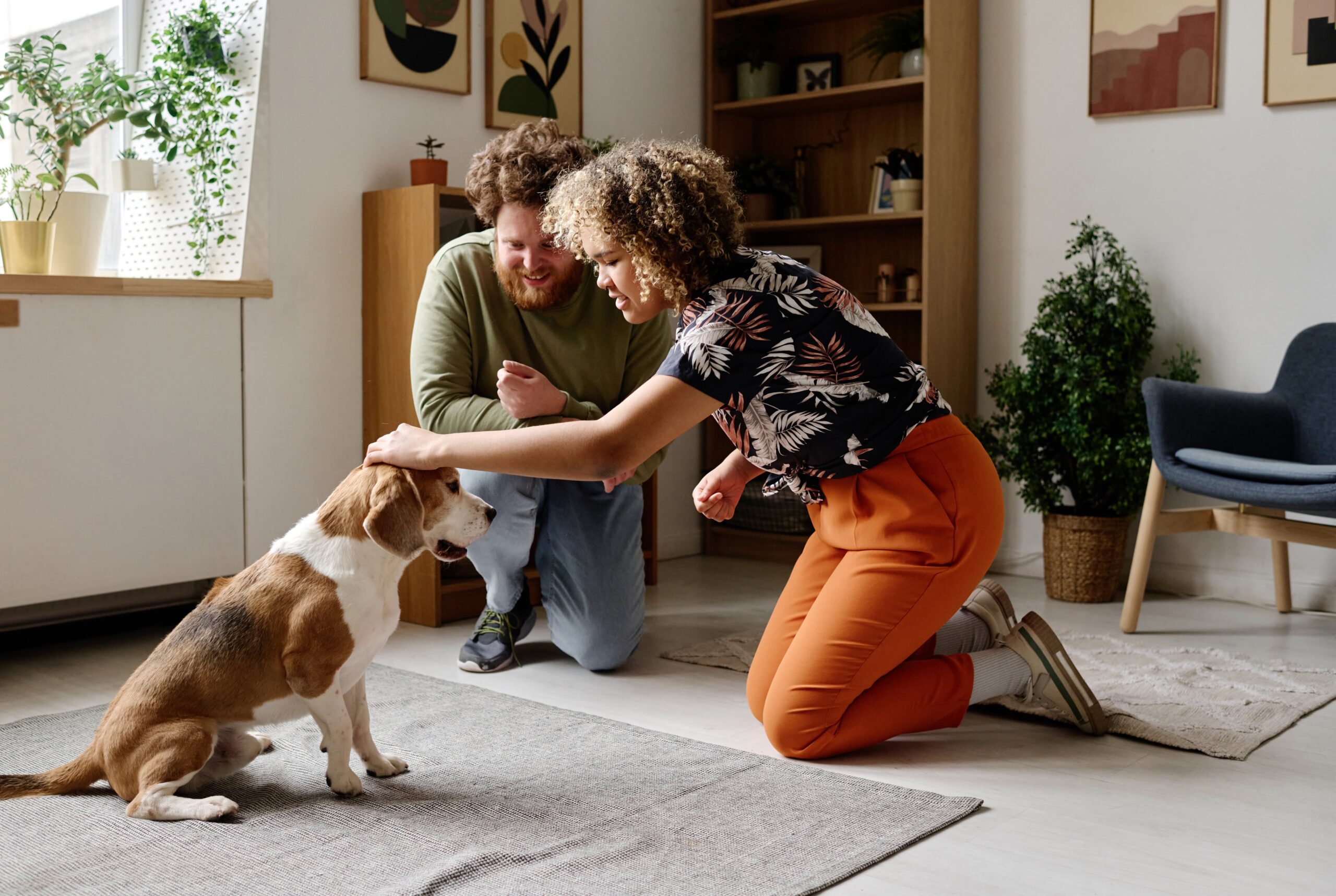 pet-friendly rehab planning pet care