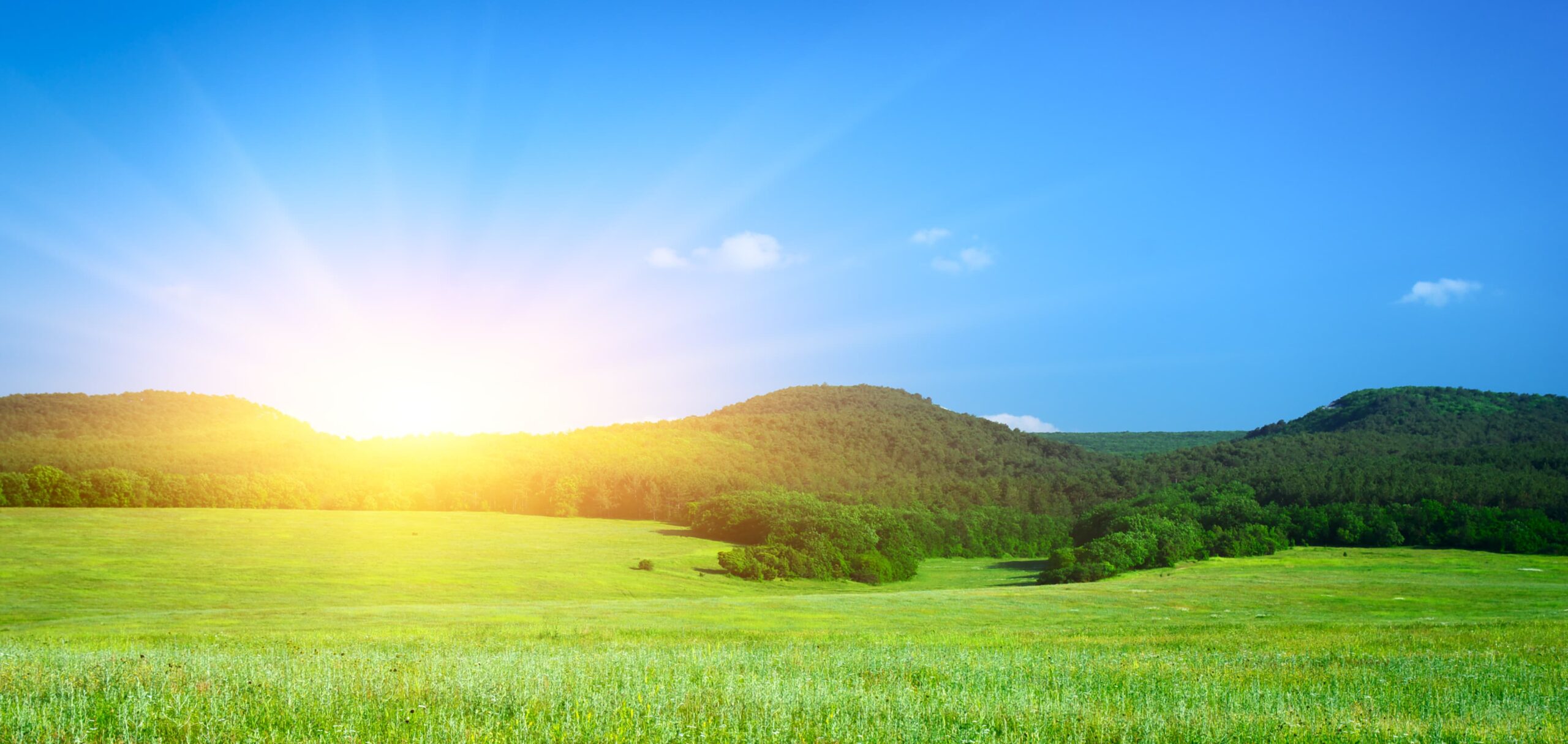 A calm, hopeful sunrise over a mountain horizon symbolizing new beginnings and personal growth