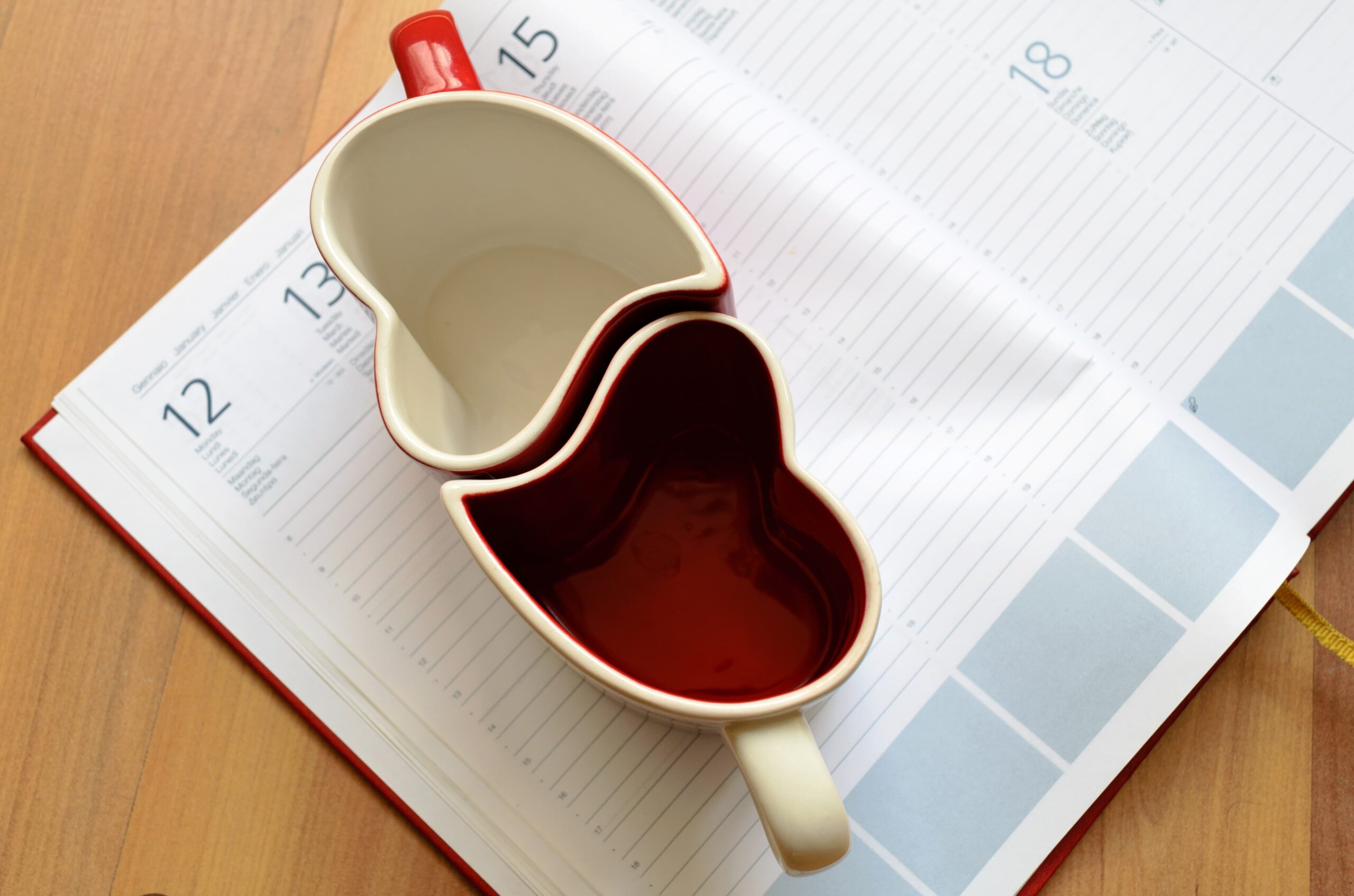 reconnecting with family after rehab weekly plan