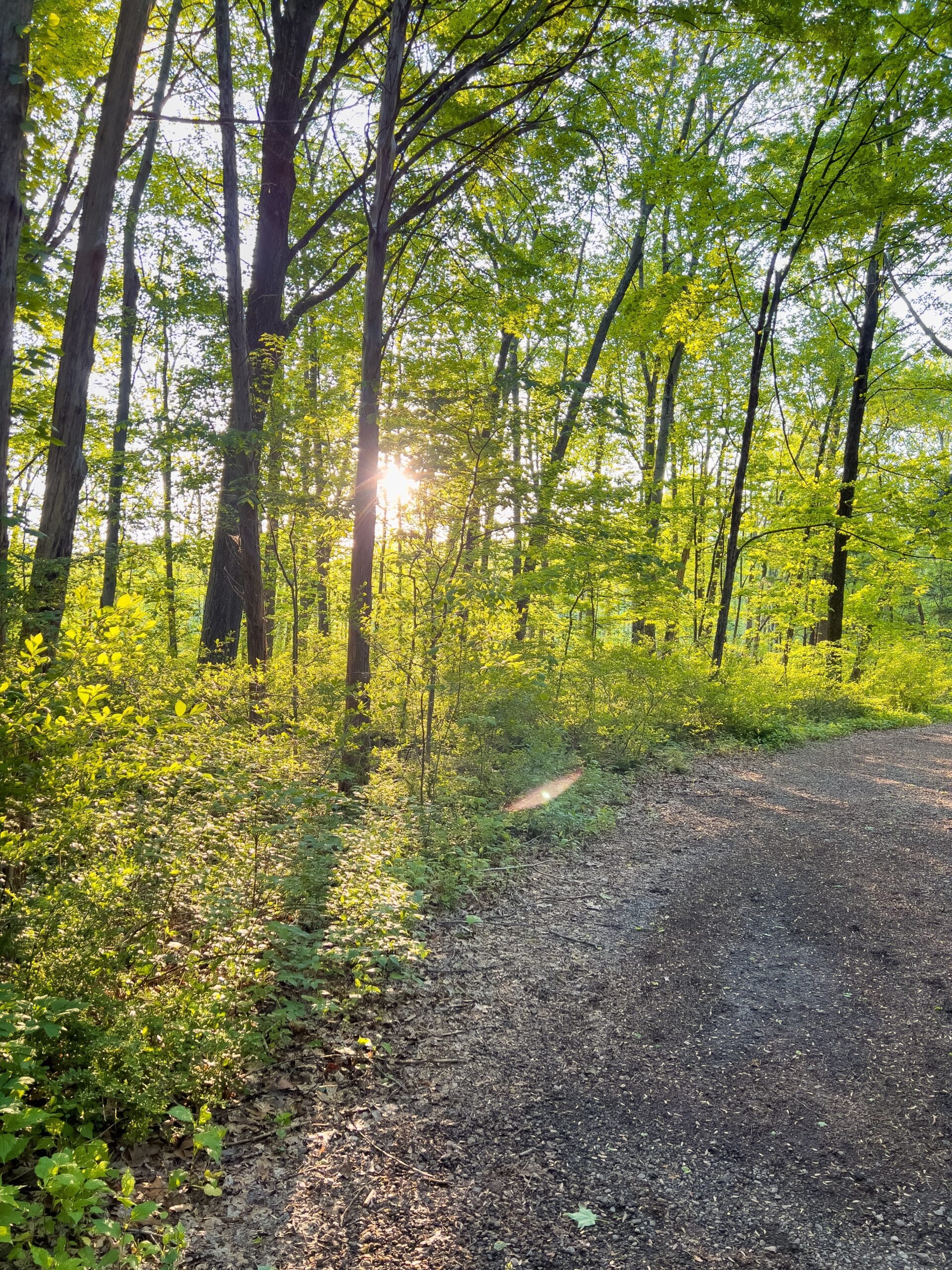 forgive yourself during recovery hopeful path